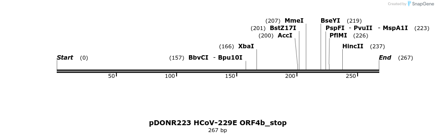 326974_map
