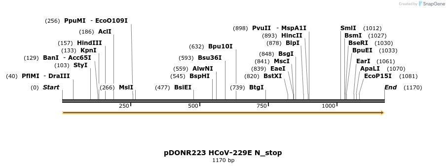 326977_map