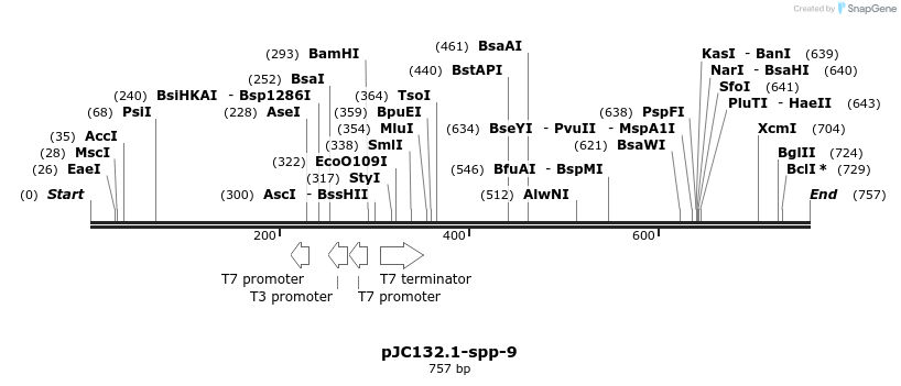 32699_map