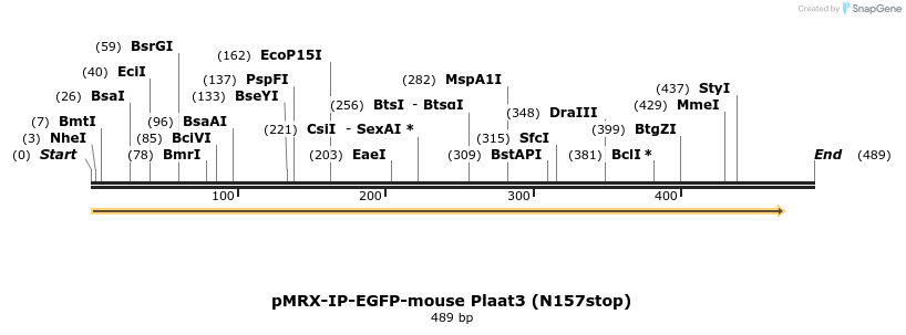 327007_map