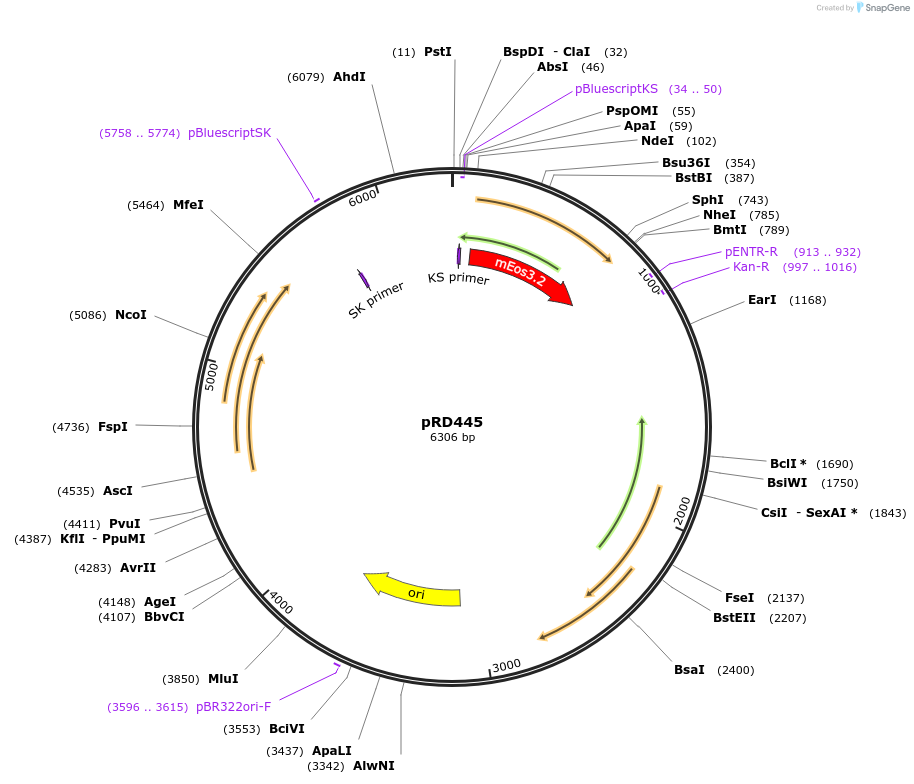 327020_map