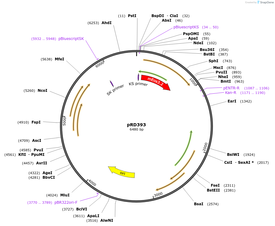 327021_map