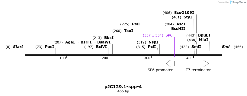 32703_map