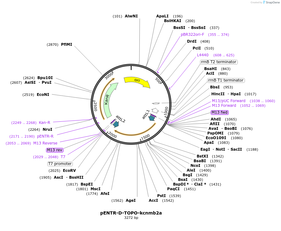 327047_map