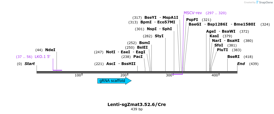 327051_map