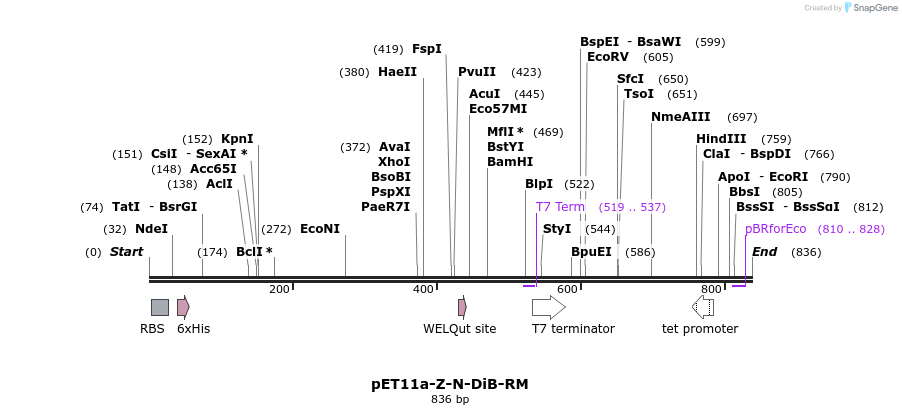 327057_map