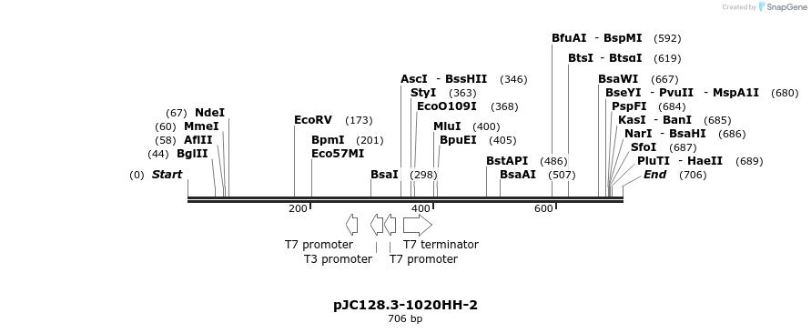 32706_map