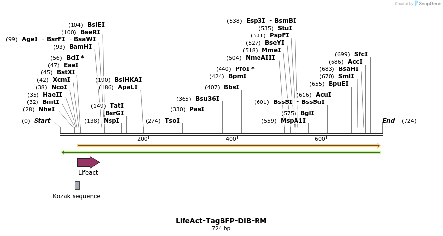 327094_map