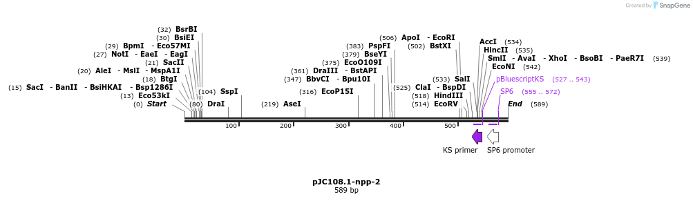 32717_map