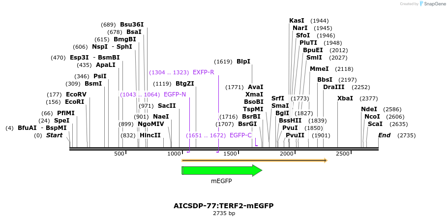 327171_map