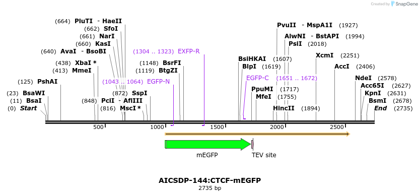 327172_map