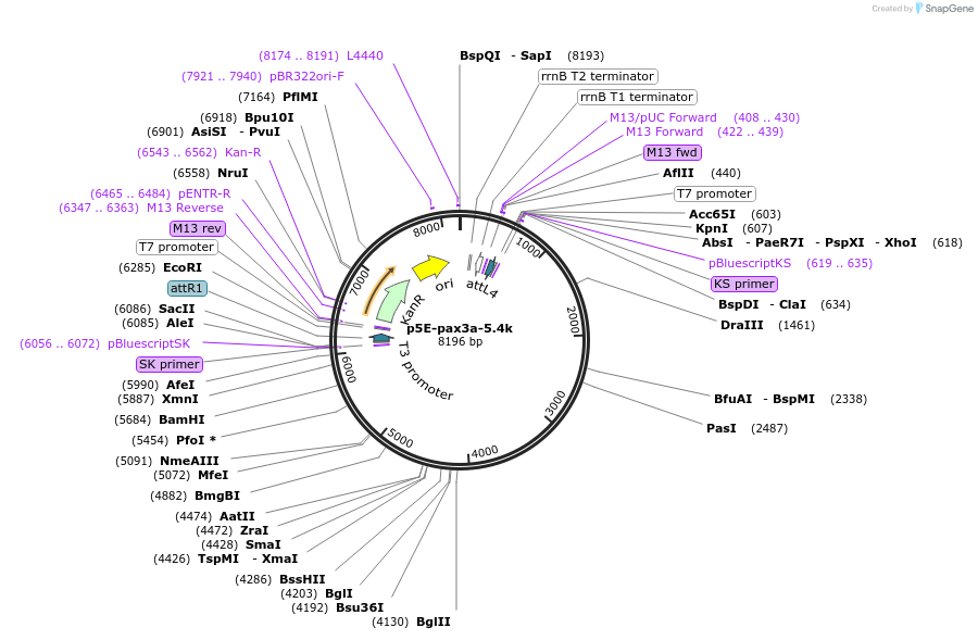 327190_map