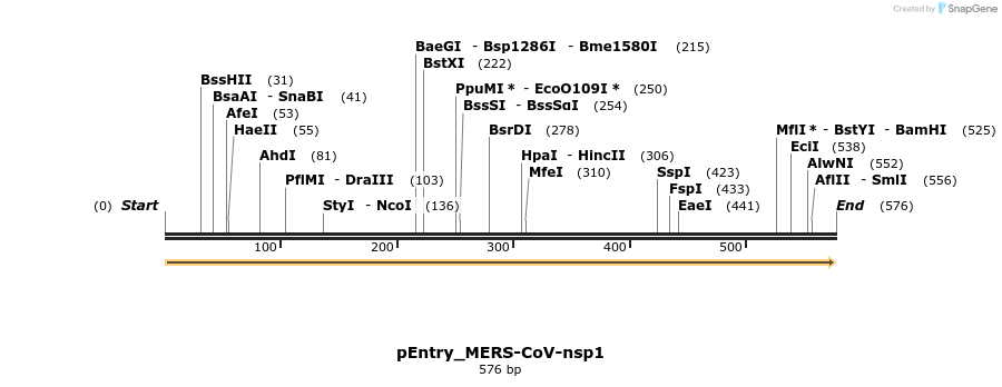 327196_map