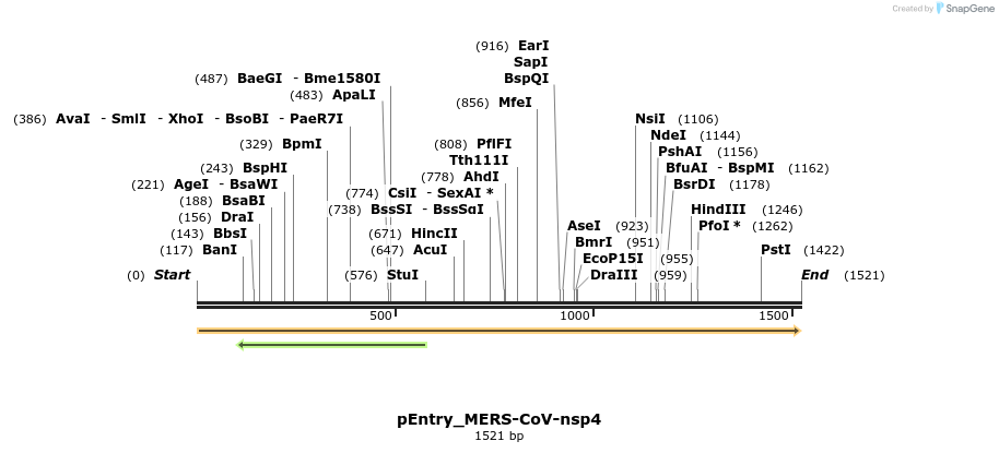 327198_map