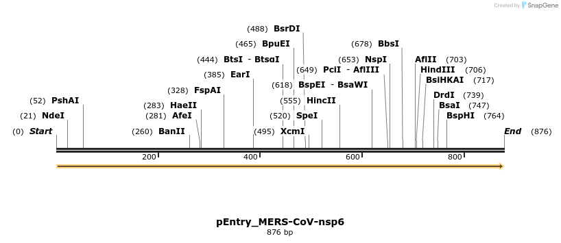 327202_map
