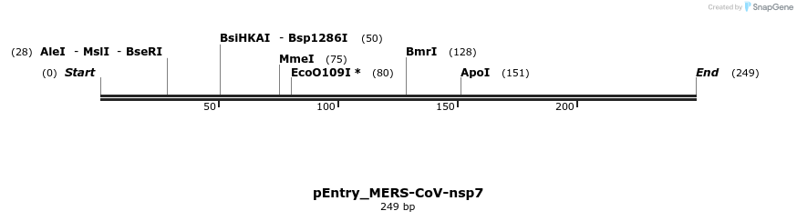 327204_map