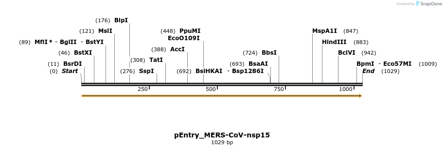 327214_map