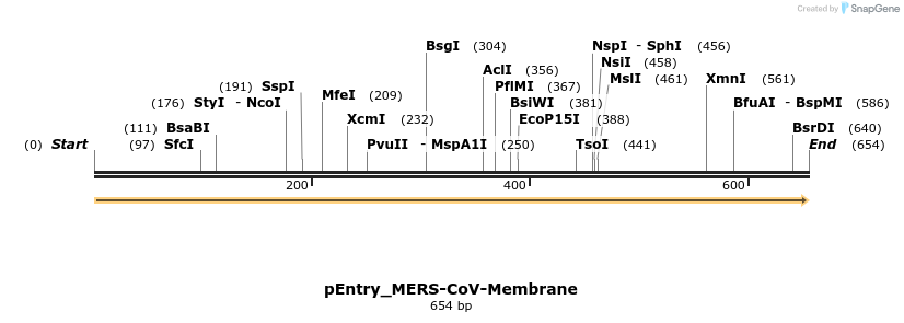 327228_map