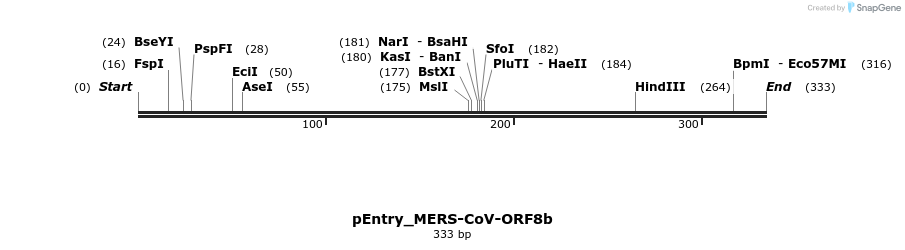 327232_map