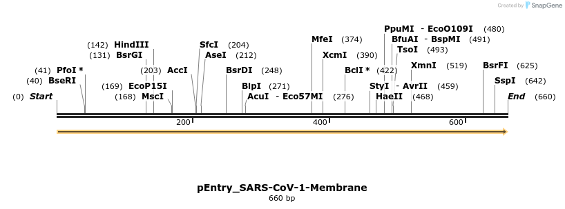 327244_map