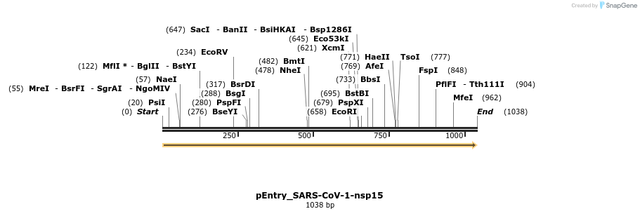 327252_map