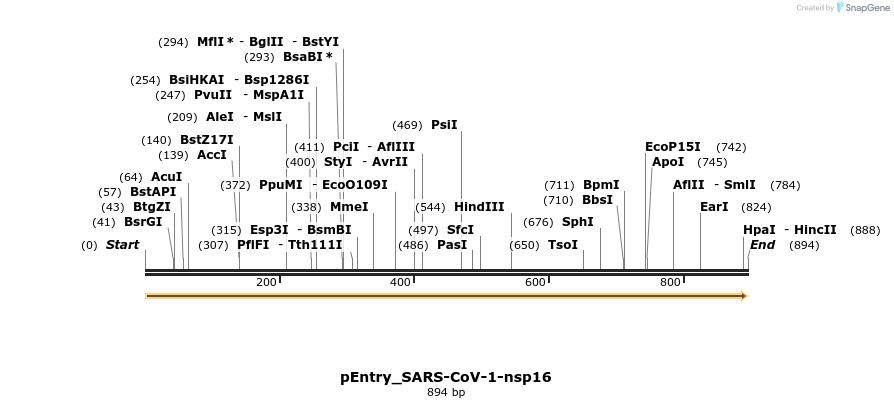 327254_map