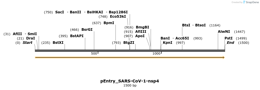 327256_map