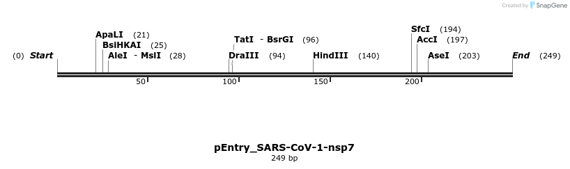 327262_map