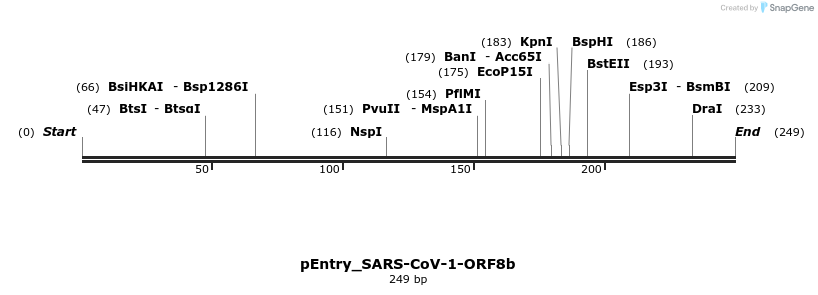 327282_map
