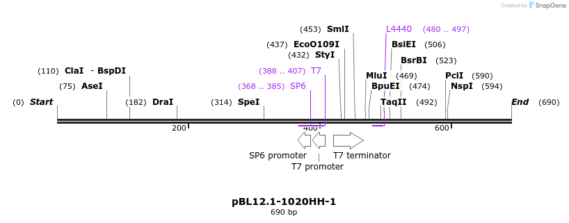 32730_map