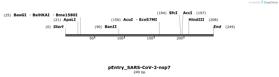 327304_map