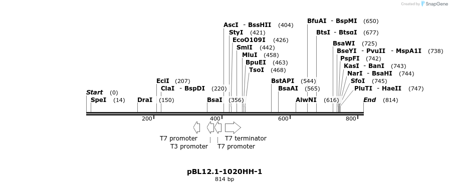 32731_map