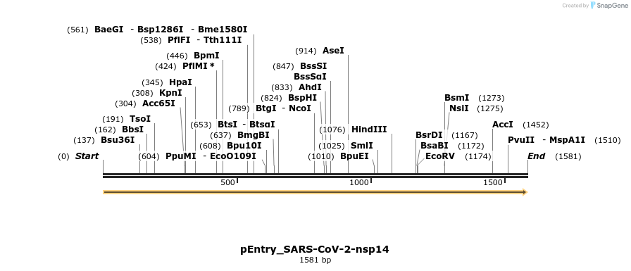 327312_map