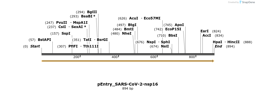327316_map