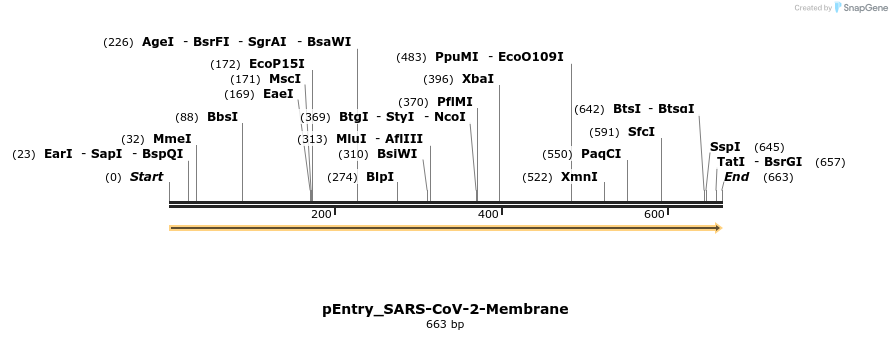 327324_map