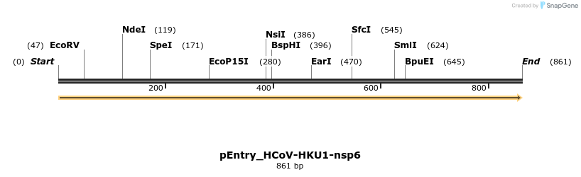 327354_map