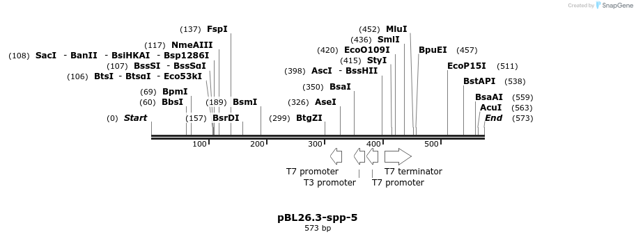 32736_map