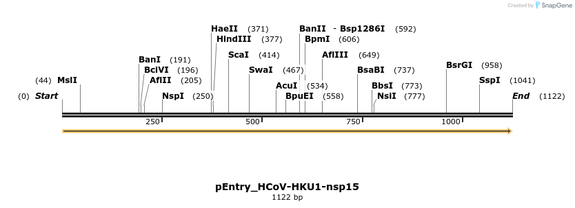 327364_map