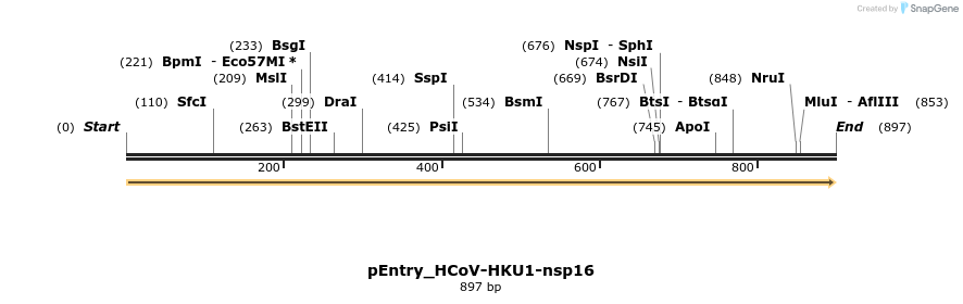 327366_map