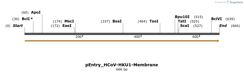327374_map