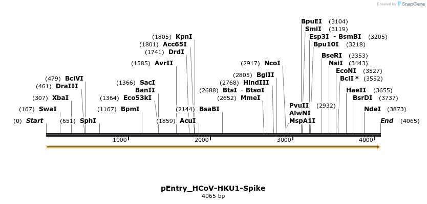 327386_map