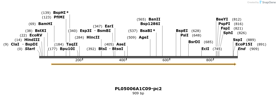32739_map