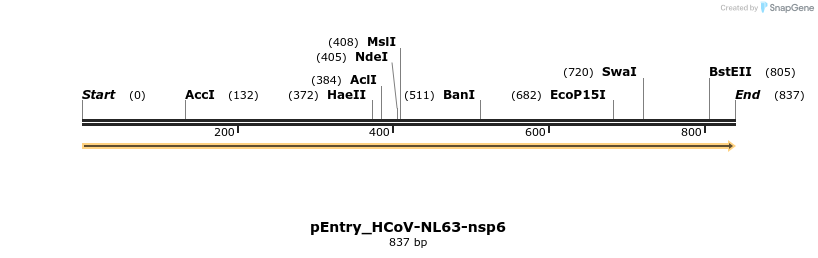 327394_map