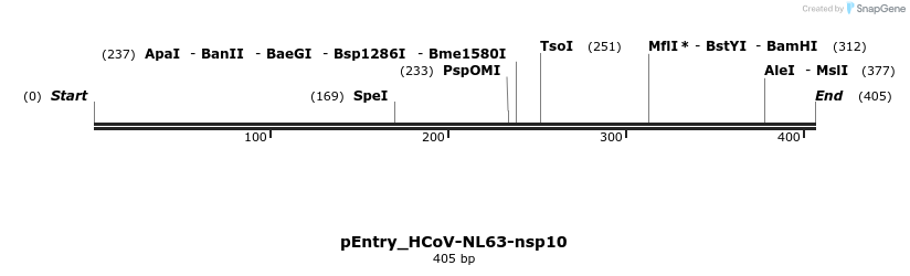 327402_map