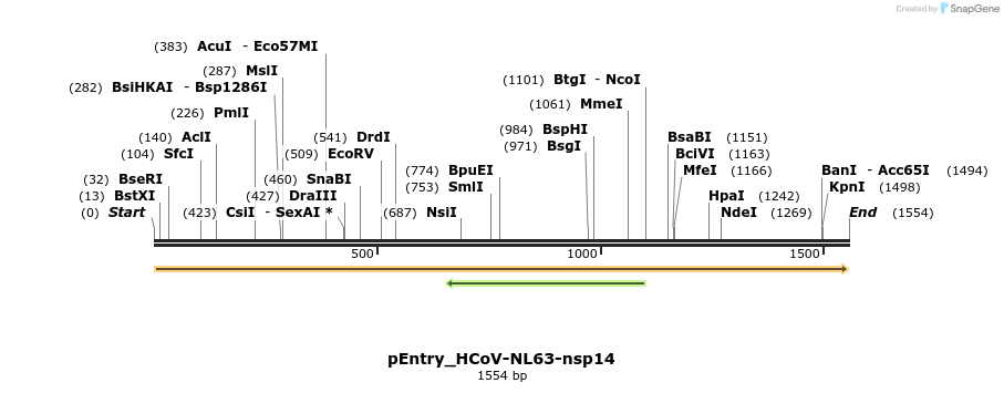 327404_map