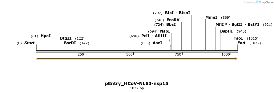 327406_map