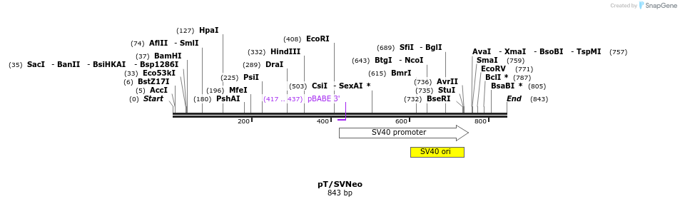 32741_map