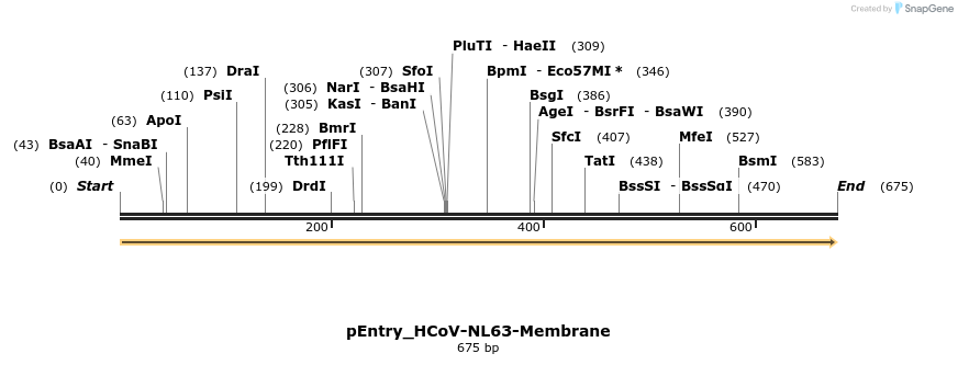 327414_map