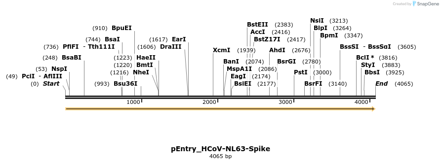 327422_map
