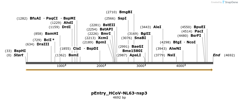 327424_map